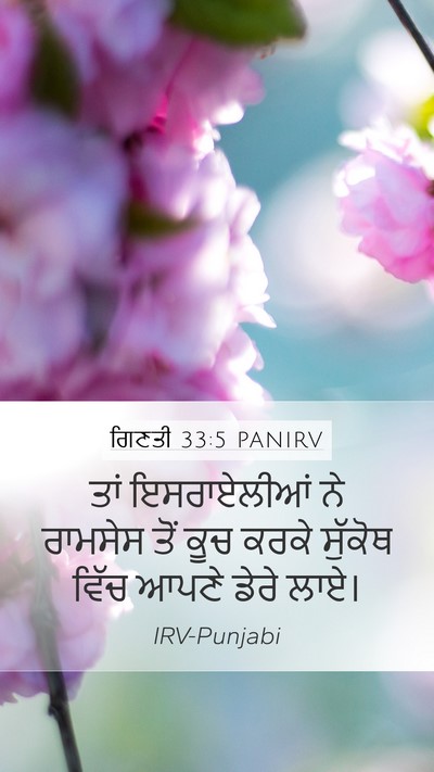 ਗਿਣਤੀ 33:5 PANIRV Bible Verse Image