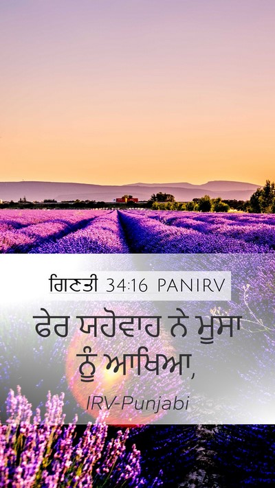 ਗਿਣਤੀ 34:16 PANIRV Mobile Phone Wallpaper - ਫੇਰ ਯਹੋਵਾਹ ਨੇ ਮੂਸਾ - Mobile Bible Verse Wallpaper