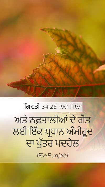 ਗਿਣਤੀ 34:28 PANIRV Mobile Phone Wallpaper - ਅਤੇ ਨਫ਼ਤਾਲੀਆਂ ਦੇ - Mobile Bible Verse Wallpaper