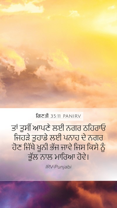 ਗਿਣਤੀ 35:11 PANIRV Bible Verse Image