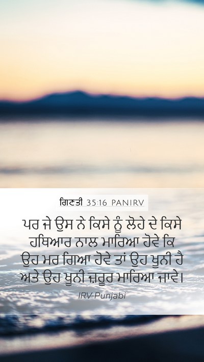 ਗਿਣਤੀ 35:16 PANIRV Bible Verse Image