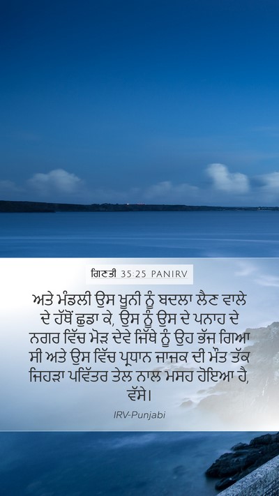 ਗਿਣਤੀ 35:25 PANIRV Bible Verse Image