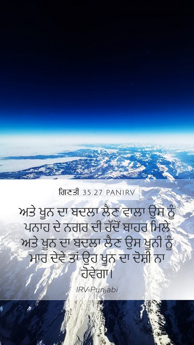 ਗਿਣਤੀ 35:27 PANIRV Bible Verse Image