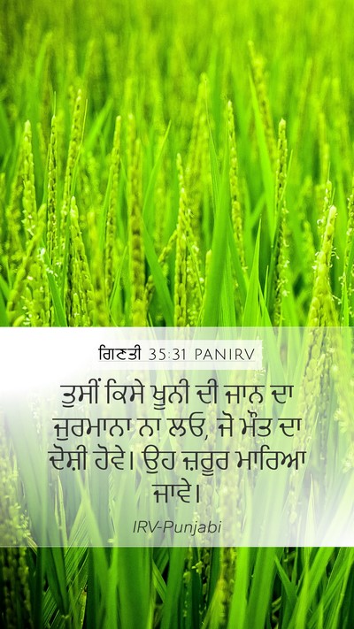 ਗਿਣਤੀ 35:31 PANIRV Bible Verse Image