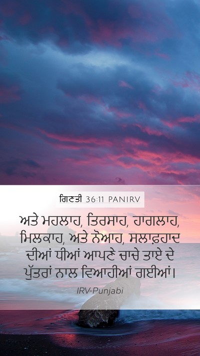 ਗਿਣਤੀ 36:11 PANIRV Mobile Phone Wallpaper - ਅਤੇ ਮਹਲਾਹ, ਤਿਰਸਾਹ, - Mobile Bible Verse Wallpaper