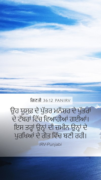 ਗਿਣਤੀ 36:12 PANIRV Bible Verse Image
