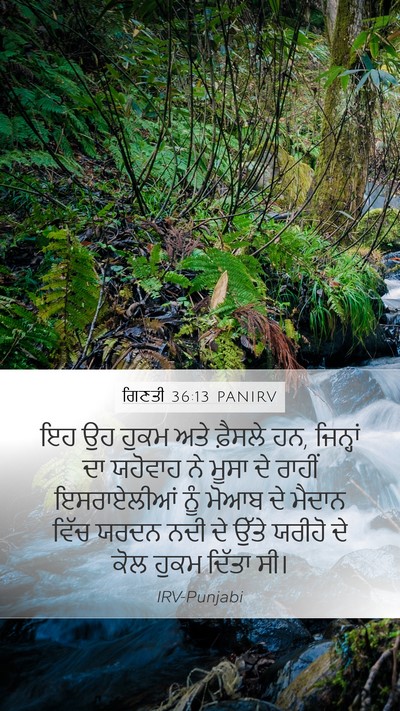 ਗਿਣਤੀ 36:13 PANIRV Bible Verse Image