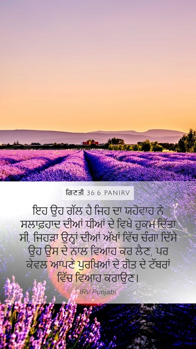 ਗਿਣਤੀ 36:6 PANIRV Mobile Phone Wallpaper - ਇਹ ਉਹ ਗੱਲ ਹੈ ਜਿਹ ਦਾ - Mobile Bible Verse Wallpaper