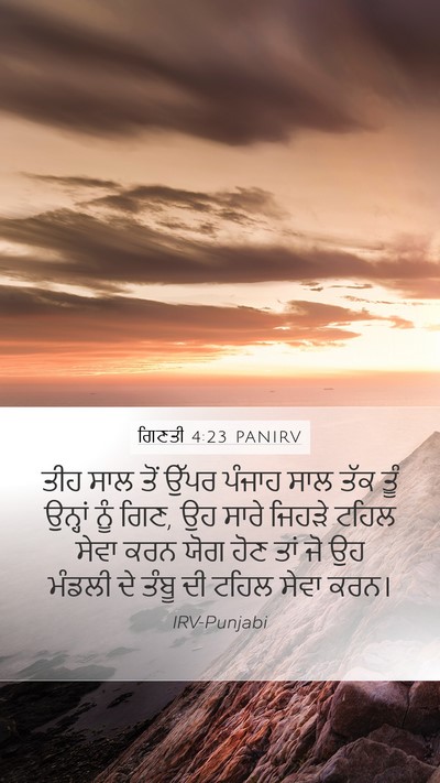 ਗਿਣਤੀ 4:23 PANIRV Bible Verse Image