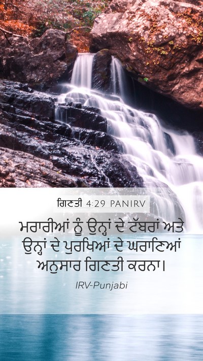 ਗਿਣਤੀ 4:29 PANIRV Bible Verse Image