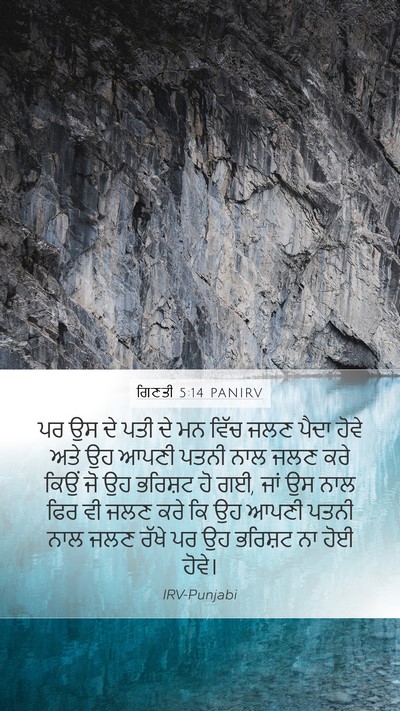 ਗਿਣਤੀ 5:14 PANIRV Mobile Phone Wallpaper - ਪਰ ਉਸ ਦੇ ਪਤੀ ਦੇ ਮਨ - Mobile Bible Verse Wallpaper