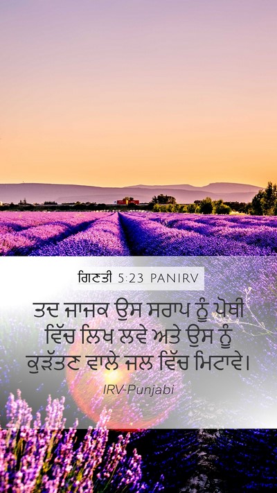 ਗਿਣਤੀ 5:23 PANIRV Mobile Phone Wallpaper - ਤਦ ਜਾਜਕ ਉਸ ਸਰਾਪ ਨੂੰ - Mobile Bible Verse Wallpaper