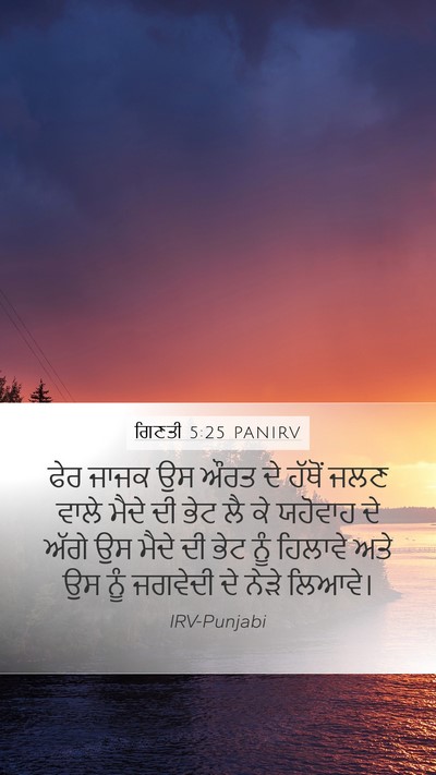 ਗਿਣਤੀ 5:25 PANIRV Bible Verse Image