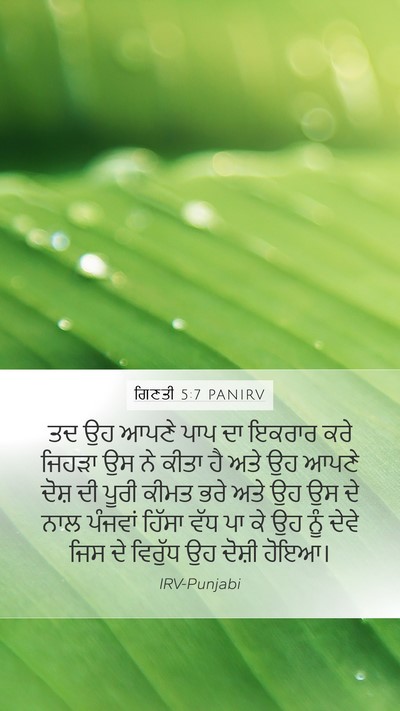 ਗਿਣਤੀ 5:7 PANIRV Mobile Phone Wallpaper - ਤਦ ਉਹ ਆਪਣੇ ਪਾਪ ਦਾ - Mobile Bible Verse Wallpaper