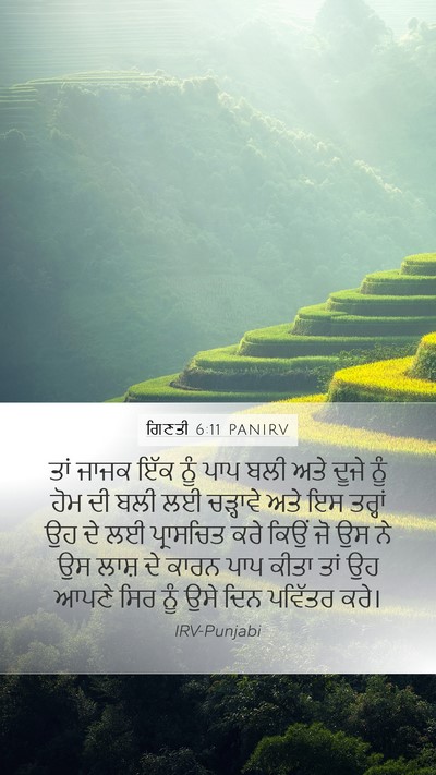 ਗਿਣਤੀ 6:11 PANIRV Mobile Phone Wallpaper - ਤਾਂ ਜਾਜਕ ਇੱਕ ਨੂੰ - Mobile Bible Verse Wallpaper