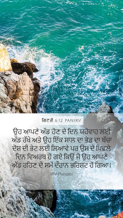 ਗਿਣਤੀ 6:12 PANIRV Bible Verse Image