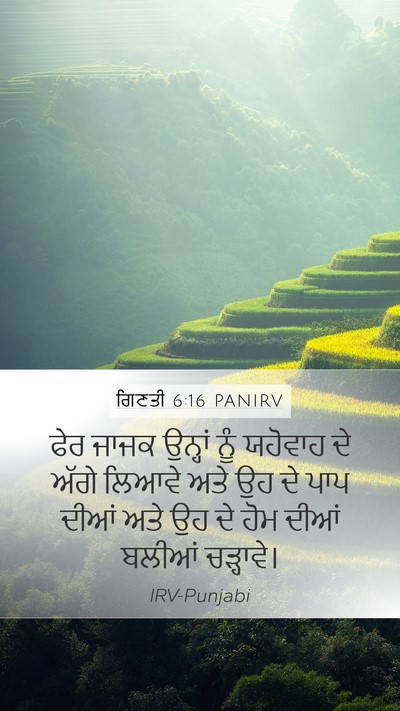 ਗਿਣਤੀ 6:16 PANIRV Bible Verse Image
