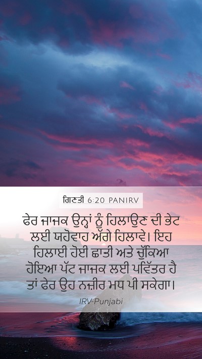 ਗਿਣਤੀ 6:20 PANIRV Bible Verse Image