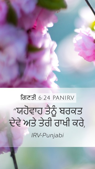 ਗਿਣਤੀ 6:24 PANIRV Bible Verse Image