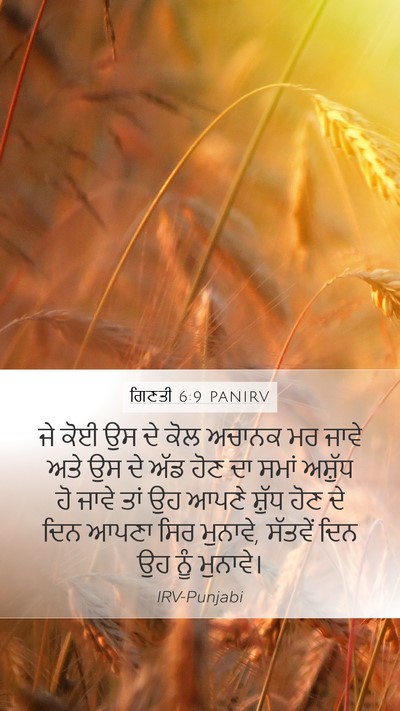 ਗਿਣਤੀ 6:9 PANIRV Bible Verse Image