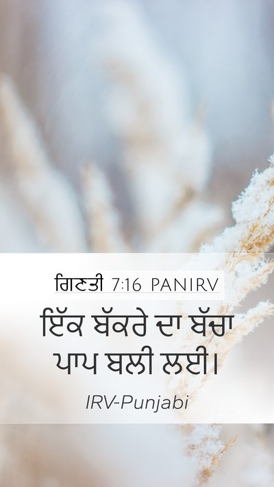 ਗਿਣਤੀ 7:16 PANIRV Mobile Phone Wallpaper - ਇੱਕ ਬੱਕਰੇ ਦਾ ਬੱਚਾ - Mobile Bible Verse Wallpaper