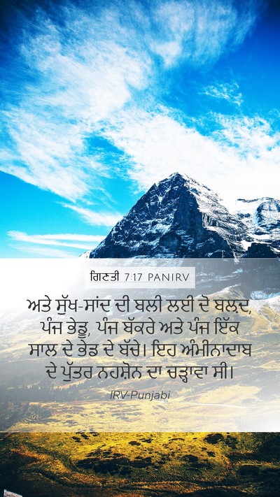 ਗਿਣਤੀ 7:17 PANIRV Bible Verse Image