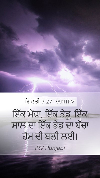ਗਿਣਤੀ 7:27 PANIRV Bible Verse Image