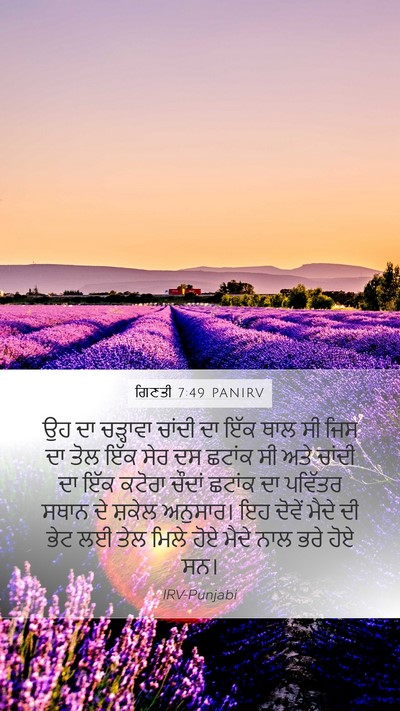ਗਿਣਤੀ 7:49 PANIRV Mobile Phone Wallpaper - ਉਹ ਦਾ ਚੜ੍ਹਾਵਾ - Mobile Bible Verse Wallpaper