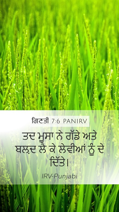 ਗਿਣਤੀ 7:6 PANIRV Bible Verse Image