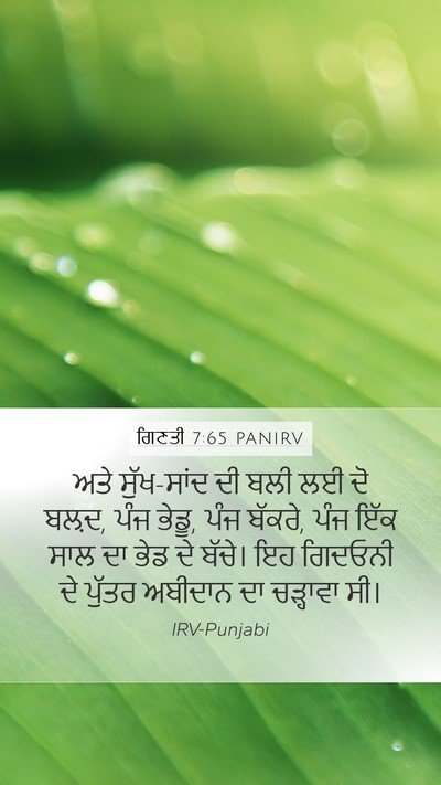 ਗਿਣਤੀ 7:65 PANIRV Mobile Phone Wallpaper - ਅਤੇ ਸੁੱਖ-ਸਾਂਦ ਦੀ - Mobile Bible Verse Wallpaper