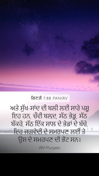 ਗਿਣਤੀ 7:88 PANIRV Bible Verse Image