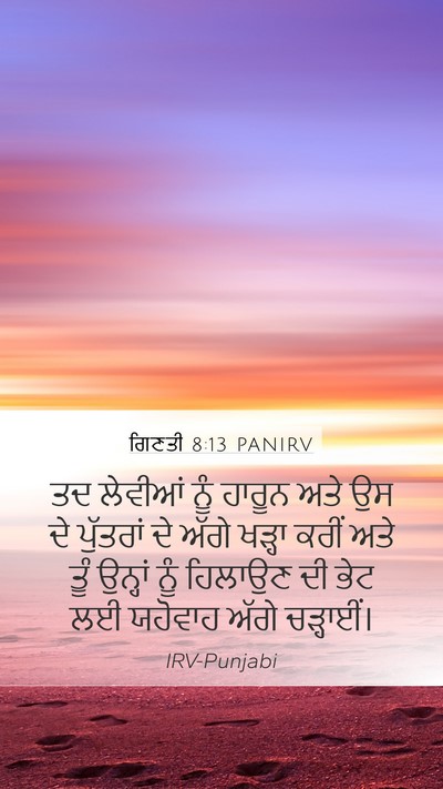 ਗਿਣਤੀ 8:13 PANIRV Bible Verse Image