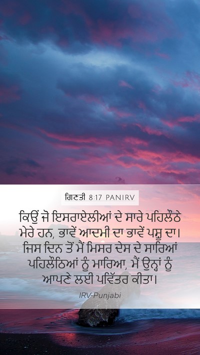 ਗਿਣਤੀ 8:17 PANIRV Mobile Phone Wallpaper - ਕਿਉਂ ਜੋ ਇਸਰਾਏਲੀਆਂ - Mobile Bible Verse Wallpaper