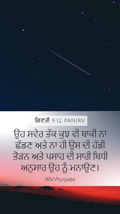 ਗਿਣਤੀ 9:12 PANIRV Mobile Phone Wallpaper - ਉਹ ਸਵੇਰ ਤੱਕ ਕੁਝ ਵੀ - Mobile Bible Verse Wallpaper