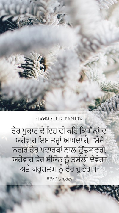 ਜ਼ਕਰਯਾਹ 1:17 PANIRV Bible Verse Image