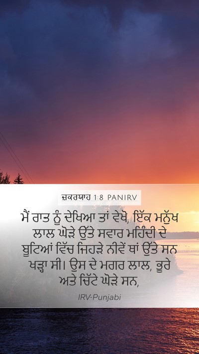 ਜ਼ਕਰਯਾਹ 1:8 PANIRV Bible Verse Image