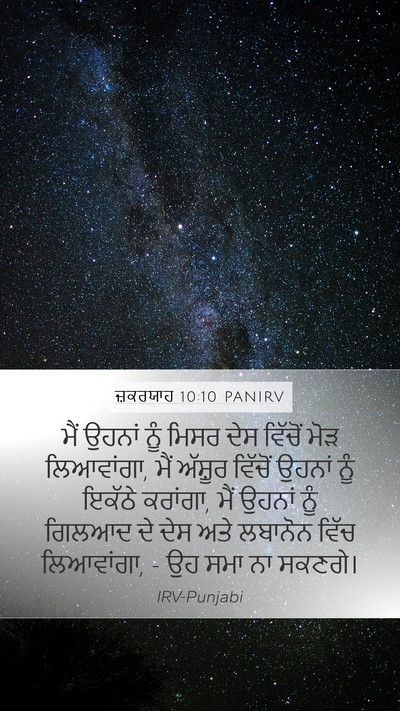 ਜ਼ਕਰਯਾਹ 10:10 PANIRV Bible Verse Image