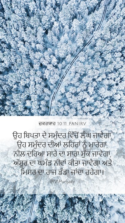ਜ਼ਕਰਯਾਹ 10:11 PANIRV Bible Verse Image