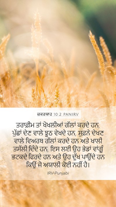 ਜ਼ਕਰਯਾਹ 10:2 PANIRV Bible Verse Image