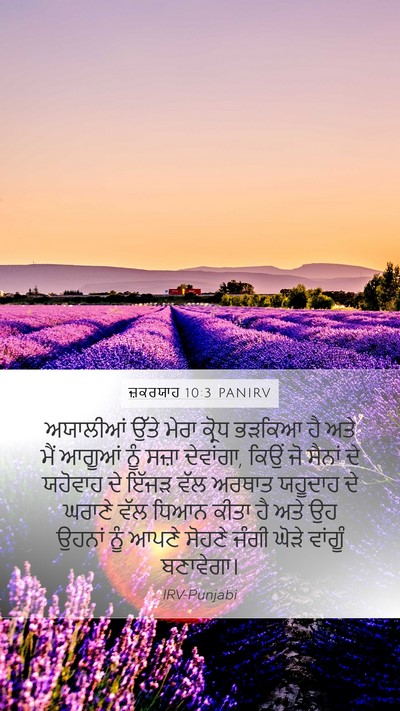 ਜ਼ਕਰਯਾਹ 10:3 PANIRV Bible Verse Image
