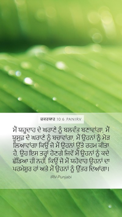 ਜ਼ਕਰਯਾਹ 10:6 PANIRV Bible Verse Image