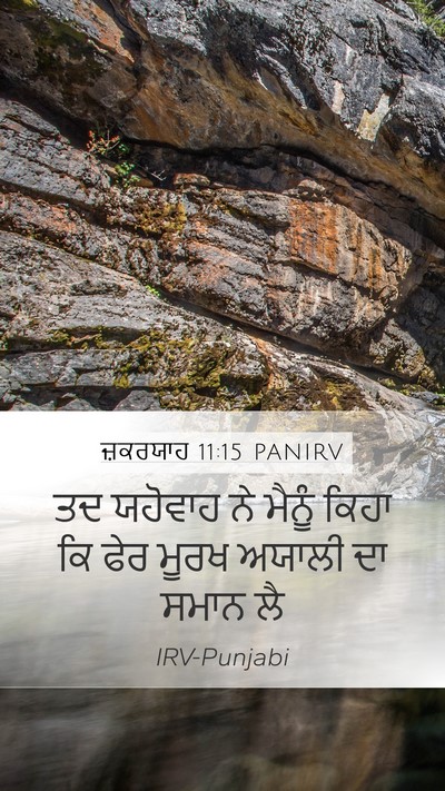 ਜ਼ਕਰਯਾਹ 11:15 PANIRV Bible Verse Image