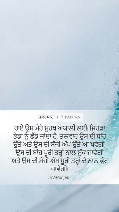 ਜ਼ਕਰਯਾਹ 11:17 PANIRV Bible Verse Image