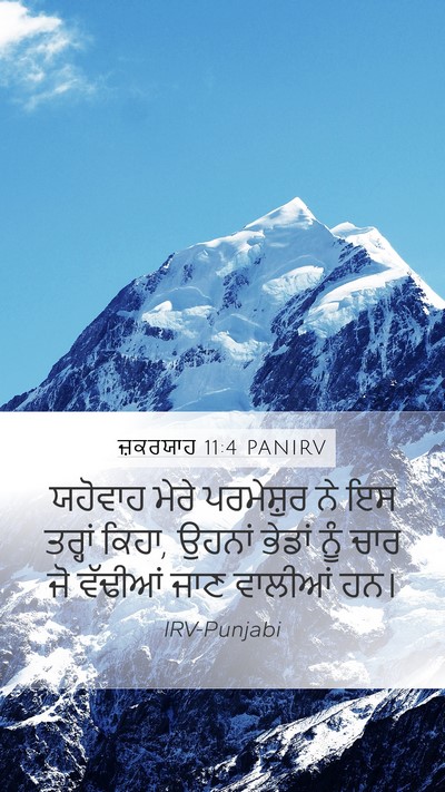 ਜ਼ਕਰਯਾਹ 11:4 PANIRV Bible Verse Image