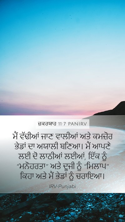 ਜ਼ਕਰਯਾਹ 11:7 PANIRV Bible Verse Image