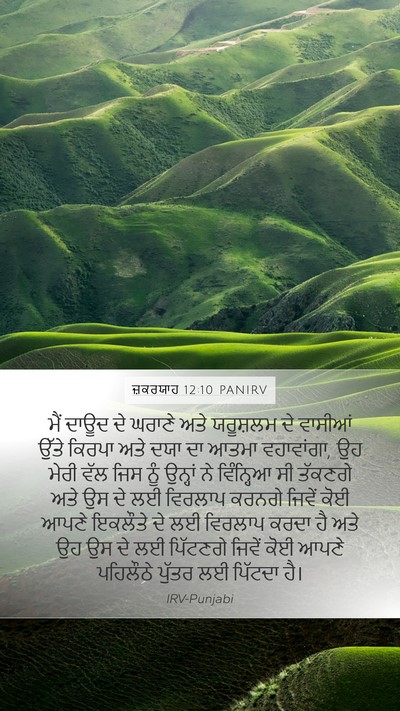 ਜ਼ਕਰਯਾਹ 12:10 PANIRV Bible Verse Image