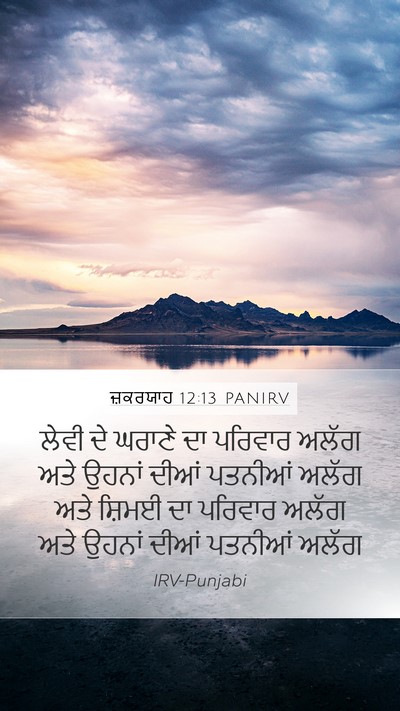 ਜ਼ਕਰਯਾਹ 12:13 PANIRV Bible Verse Image