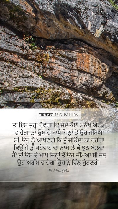 ਜ਼ਕਰਯਾਹ 13:3 PANIRV Bible Verse Image
