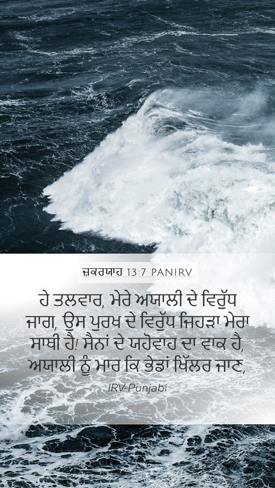 ਜ਼ਕਰਯਾਹ 13:7 PANIRV Bible Verse Image