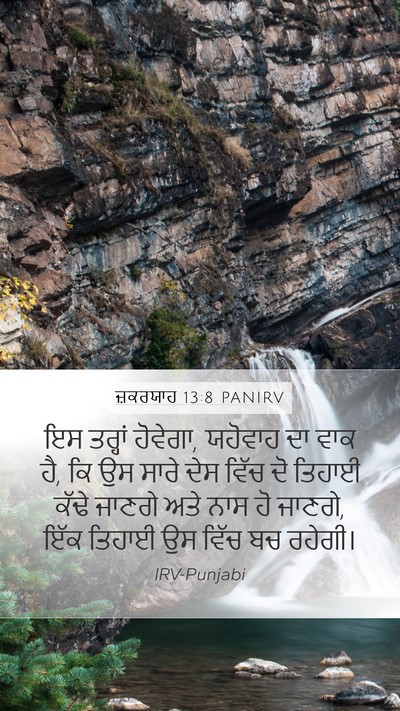 ਜ਼ਕਰਯਾਹ 13:8 PANIRV Bible Verse Image